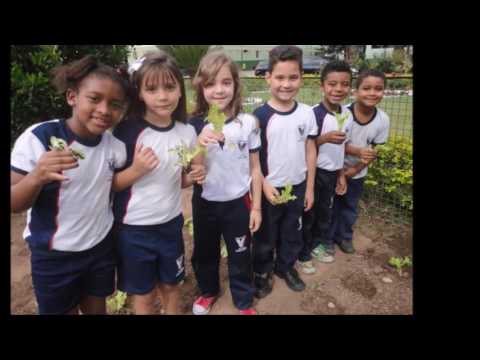 Featured image of post Colegio Vicentino Padre Correa