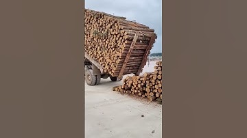 "Unbelievable! Watch the Magic of Pine Log Unloading Process in Action 🌲🚚"