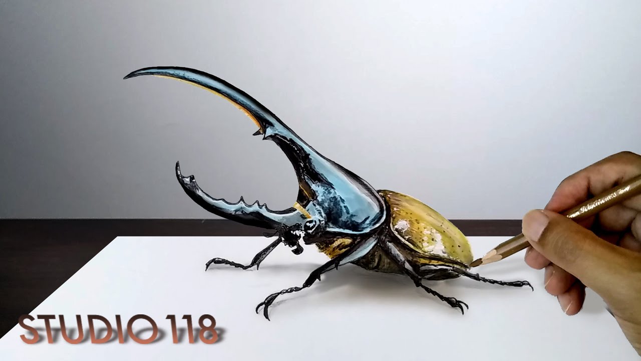 Drawing A Hercules Beetle Drawing Studio 118 Youtube