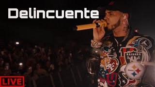 Anuel AA - Delincuente [Live Performance]