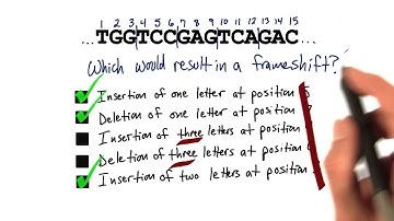 Frameshift - Tales from the Genome