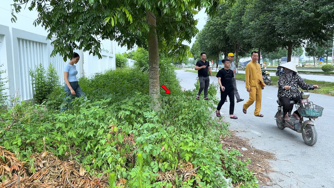 Женщина не поверила, что заросший тротуар так быстро исчез