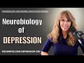 Neurobiology of Depression | CEUs for Counseling &amp; Social Work