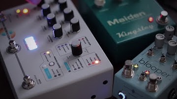 Hologram Electronics Microcosm & Chase Bliss Blooper