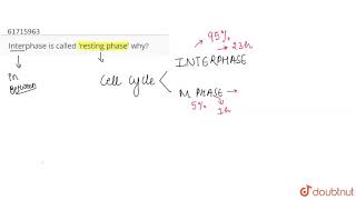Interphase is called \'resting phase\' why