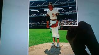 Horacio the handsnake - Catfish Hunter