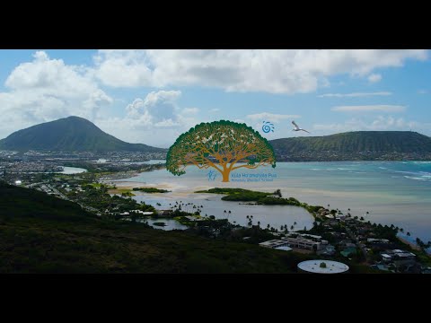 Hawaii Video Production - Honolulu Waldorf School | Oahu Films