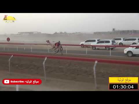 الشوط 9 اميرة ل حميد مطوع الظاهري شارة الشيخ محمد بن زايد الجمعة 2019 07 5 سويحان فطامين