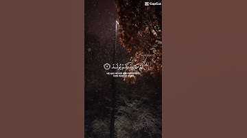 سورة الاخلاص#فولو #اكسبلور #لايك #تيك_توك