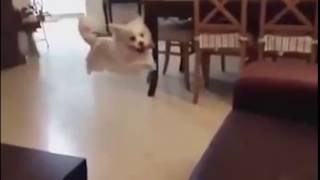 Видео Излишняя самоуверенность ВСЕГДА мешает в достижении цели! Ложный пробой. (автор: Клуб Трейдеров CARTEL)