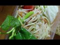 I Made Papaya Salad with Just $1 – Can It Be Delicious?