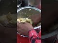 Food joints at Public Park, BIKANER. #desifoodculture #shortsvideo #shortshorts #youtubeshorts