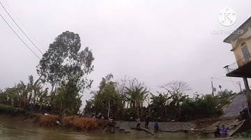 Chuyến đi câu cả ngày ở sông Thái Bình mùa thủy điện xả nước đổ ải(p2)#câucátựnhiên#fishing