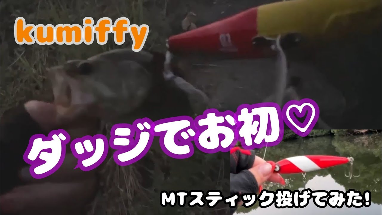 【バス釣り】レイドジャパンのダッジで初フィッシュ❗️オーバスライブのMTスティック投げてみた🎵kumiffy