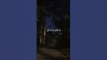 أكتب شيء تؤجر عليه ❤️‍🩹😴 القارئ محمد أيوب