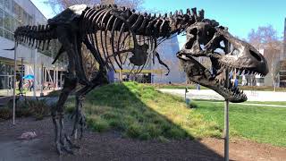 Visiting The Google Hq