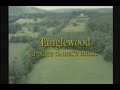 Tanglewood  a place to make music 1985