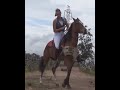 Hard Horse Riding Girl Ponyboy