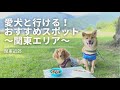 【愛犬とお出かけ】一緒に行って良かった場所 5 選　関東エリア