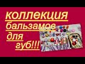 КОЛЛЕКЦИЯ БАЛЬЗАМОВ ДЛЯ ГУБ!!! ВЫБИРАЕМ В ПРОДЖЕКТ ПЕН 2021 г.