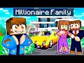 Adopted by millionaire family in minecraft