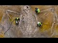 इस विडियो को देखकर चौंक जाएँगे || 15 Most Amazing Finds Archaeologists Still Can’t Explain