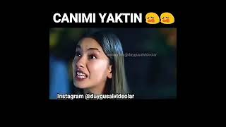 Canimi Yakmaksa Yaktin Yikmaksa Yiktin Resimi