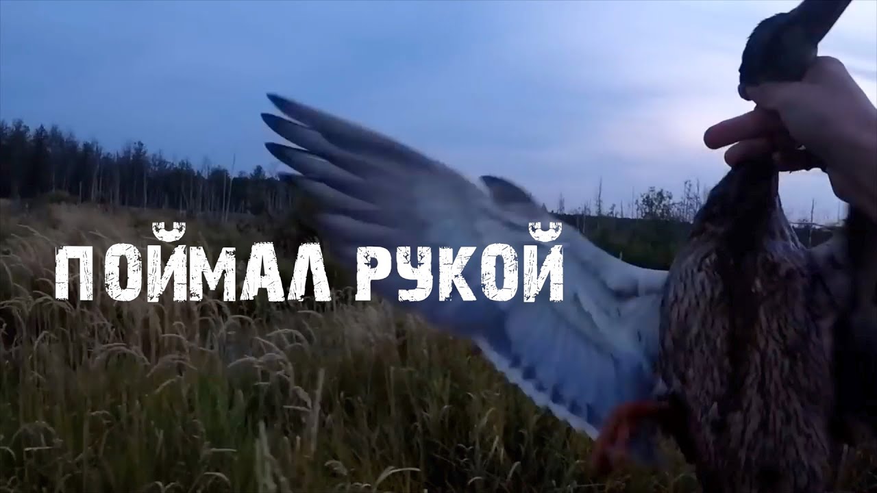 7 рка машина