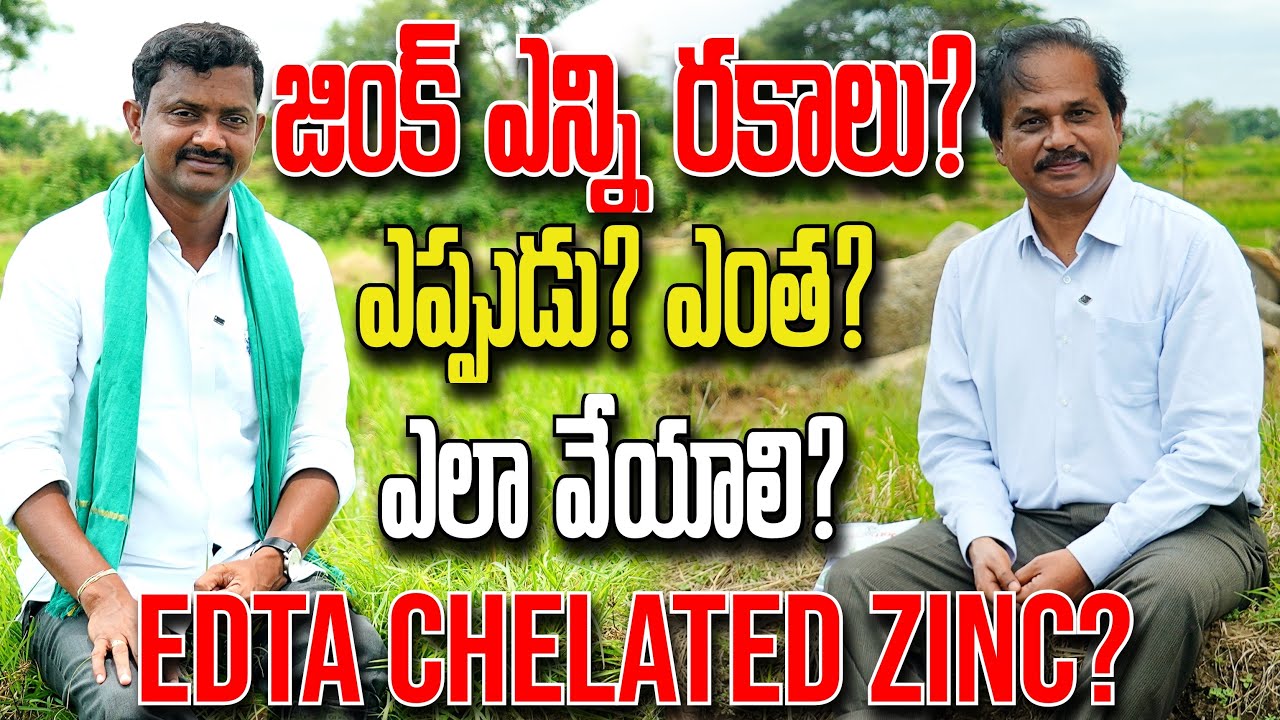 జింక్.. ఎన్ని రకాలు? ఎప్పుడు, ఎంత, ఎలా వేయాలి? | Gromor Chamatkar Zinc