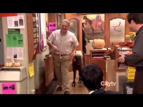 Parks and Recreation - Li'l Sebastian