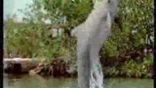 Comercial Flipy Gamesa 3 - Mexico
