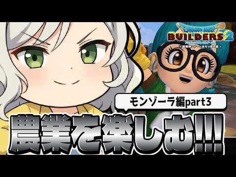 【ドラクエビルダーズ2】真面目さ農業してらど気持ぢがえ。おめもそう思わねが【Vtuber】