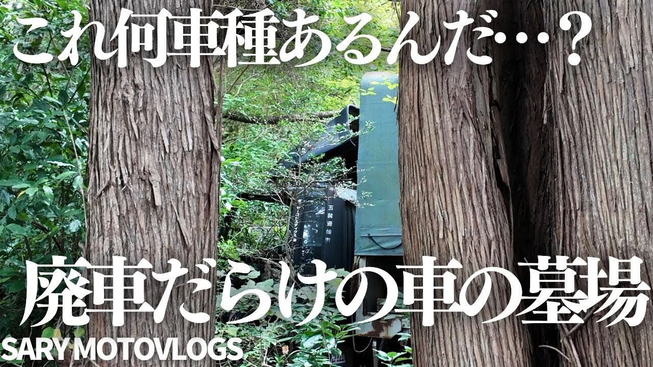 【怖くて闇深め】高速脇に捨てられている大量の車とヤバそうな廃虚　若葉区