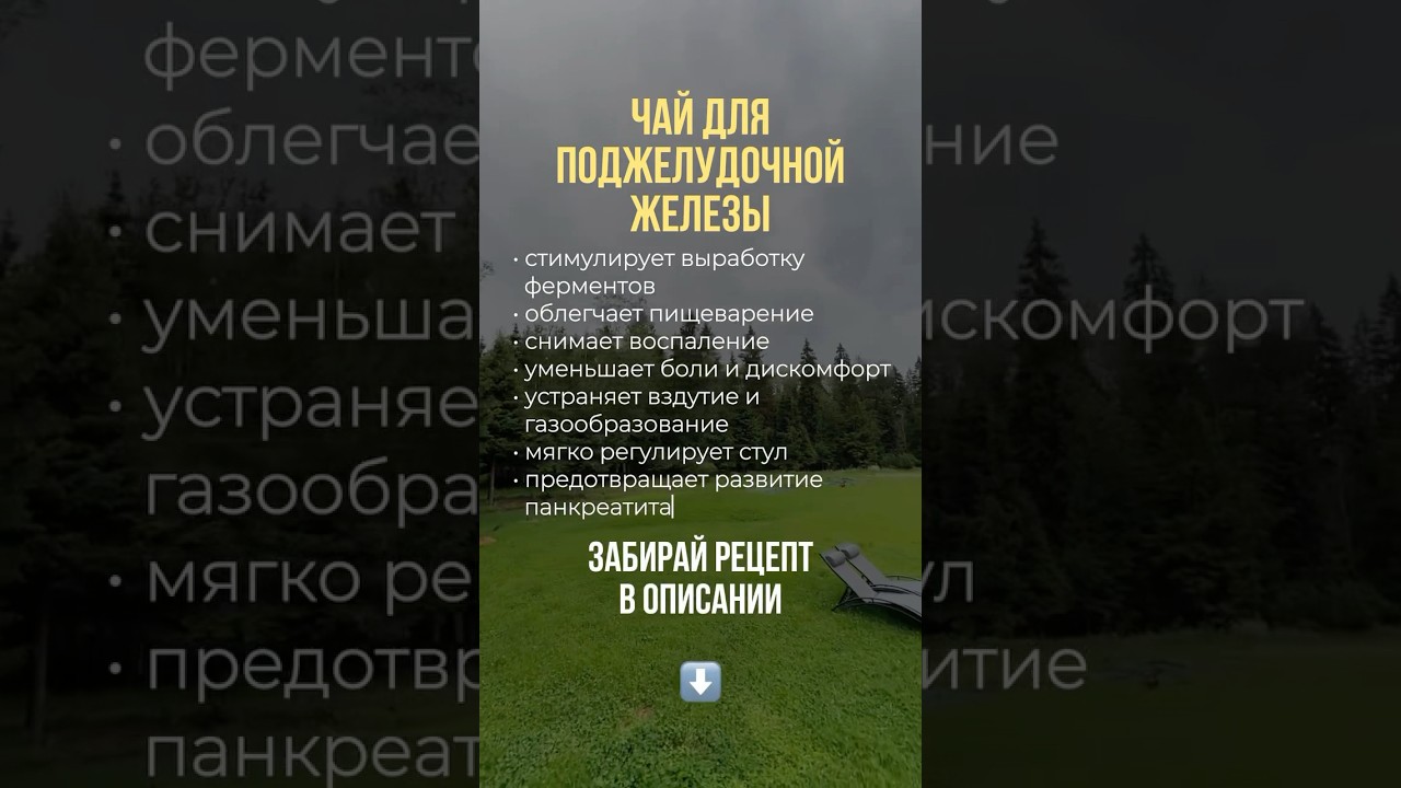 Чай для поджелудочной железы