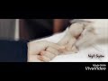حب كل حياتي موسم الكرز فتون و اياد