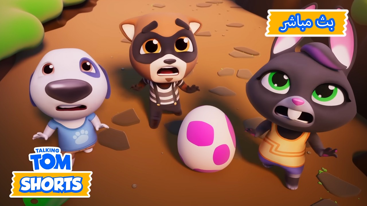 🔴بث مباشر: مطاردة الديناصورات 🦖 | Talking Tom Live | رسوم متحركة مضحكة للحيوانات
