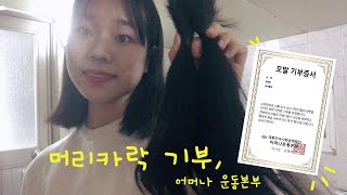 머리카락 기부ㅣ어머나운동본부