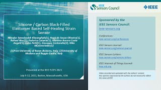 Silicone / Carbon Black-Filled Elastomer Based Self-Healing Strain Sensor