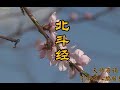 北斗经 天师府诵 北斗经 天师府诵