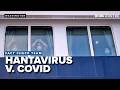 Hantavirus cases rise after cruise ship outbreak