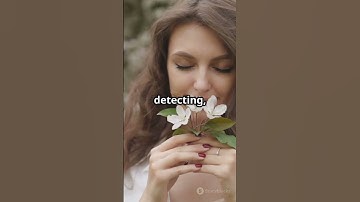 The Nose Knows More Than You Think – Mind-Blowing Smell Facts