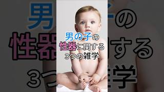 男の子の性器に関する3つの雑学 #子ども #赤ちゃん #子育て #男の子 #雑学 #shorts 男の子の性器に関する3つの雑学 #子ども #赤ちゃん #子育て #男の子 #雑学 #shorts