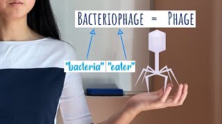 Allying with Viruses in Phage Therapy | Breakthrough Junior Challenge 2021