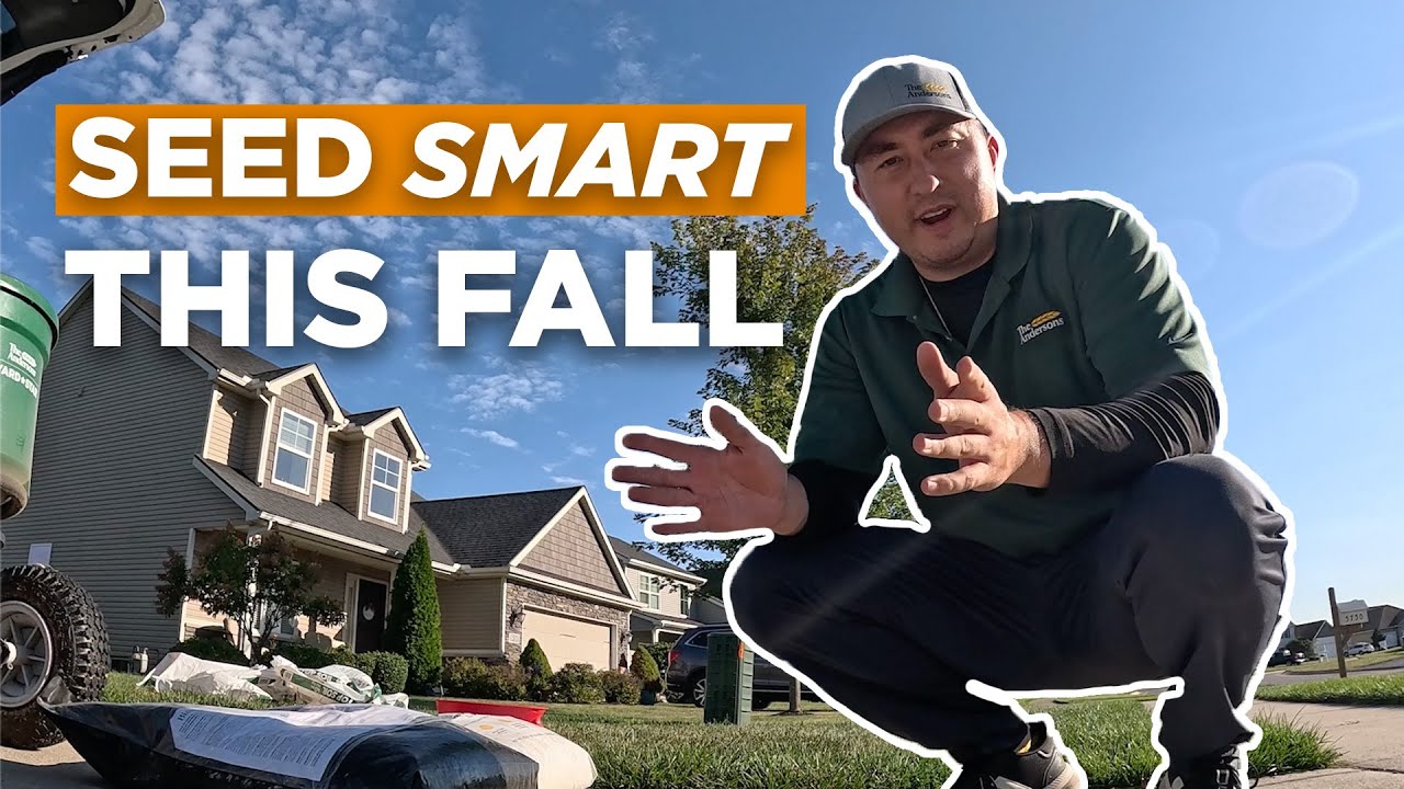 Best Fall Lawn Seeding Tips for a Thick Spring Lawn! - YouTube