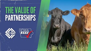 Investing in the Future of the Beef Industry with IBIC