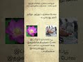 10ஆம் வகுப்பு தமிழ்/நூல் - நூலாசிரியர்/ பாடல் வரி/10th Tamil