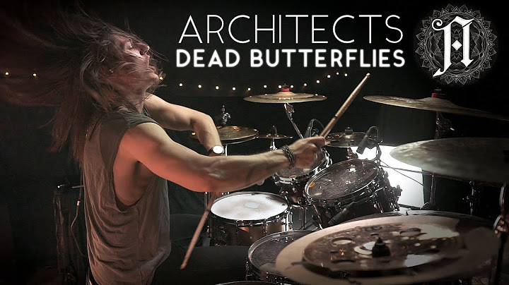 Dead Butterflies Drums version - Drums performance video thumbnail