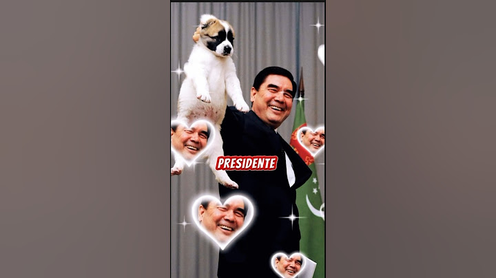 Te apuesto a que nunca haz visto a Putin así… 😂🥺