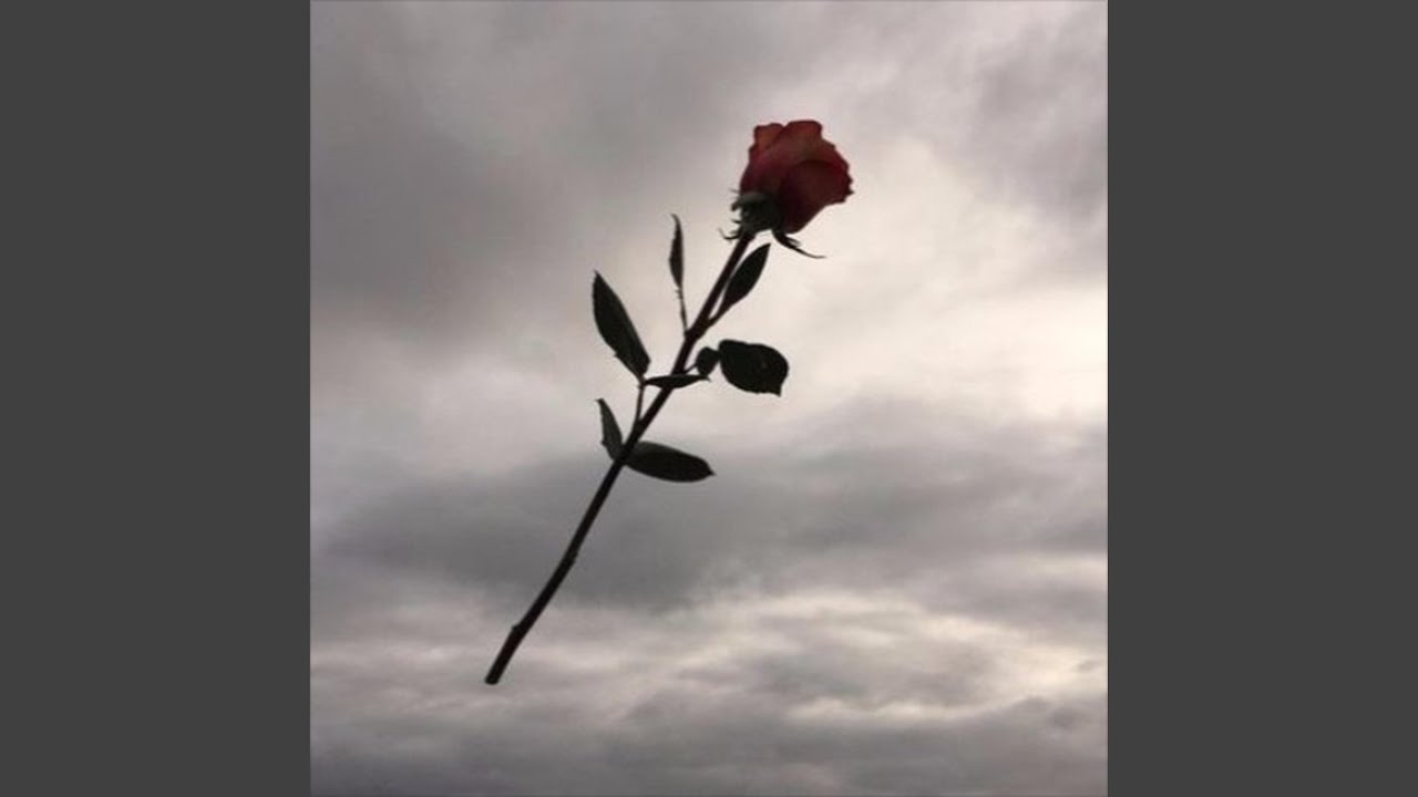 Watch she on YouTube Watch she on YouTube