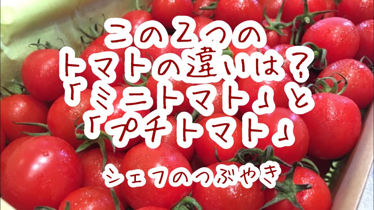 ミニ トマト プチトマト 違い